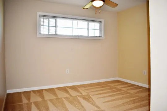 carpeted spare room featuring natural light and a ceiling fan