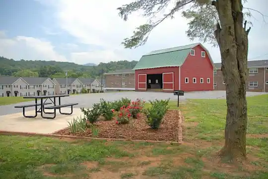 yard with an expansive lawn