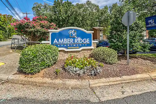 Amber Ridge - Greensboro, NC - Photo 26