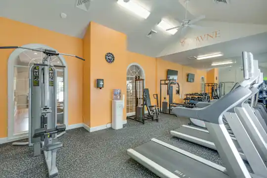 workout area featuring carpet, vaulted ceiling, and TV