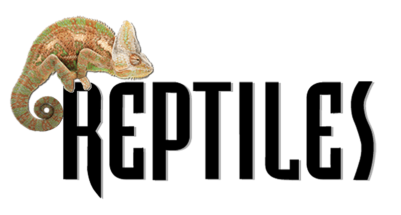 Reptiles Magazine