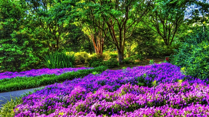 Purple Garden Mac Wallpaper