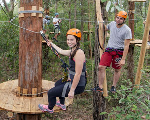 Treetops Climb and Zipline Experience, 2.5 Hours - Sydney