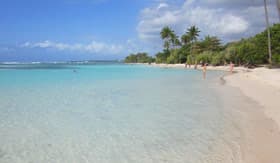 Guadeloupe Beach - Holland America