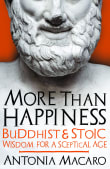 Book cover of More Than Happiness: Buddhist and Stoic Wisdom for a Sceptical Age