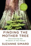 Book cover of Finding the Mother Tree: Discovering the Wisdom of the Forest