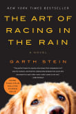 Book cover of The Art of Racing in the Rain