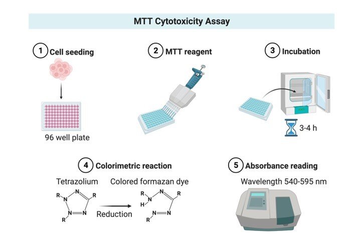 MTT assay - research tweet 1