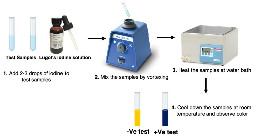 Iodine Test Schematic