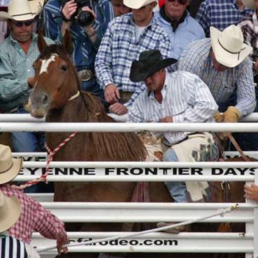 Cowboy lassoing bull