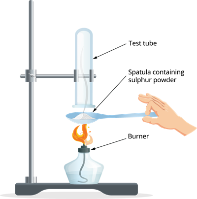 Textbook questions VI — task. Science CBSE, Class 10.