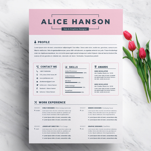 Professional Attractive Resume Template 2023