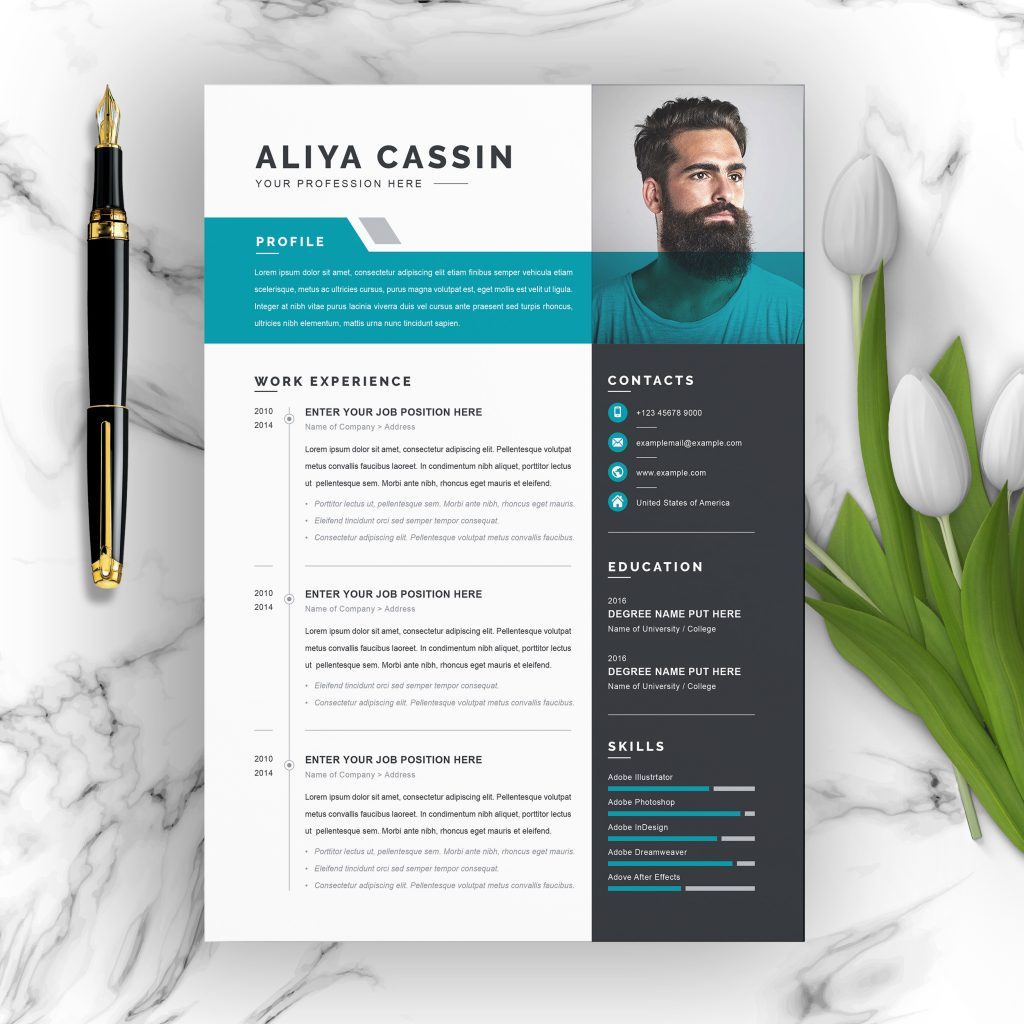 Modern free downloadable resume templates - pictureskol