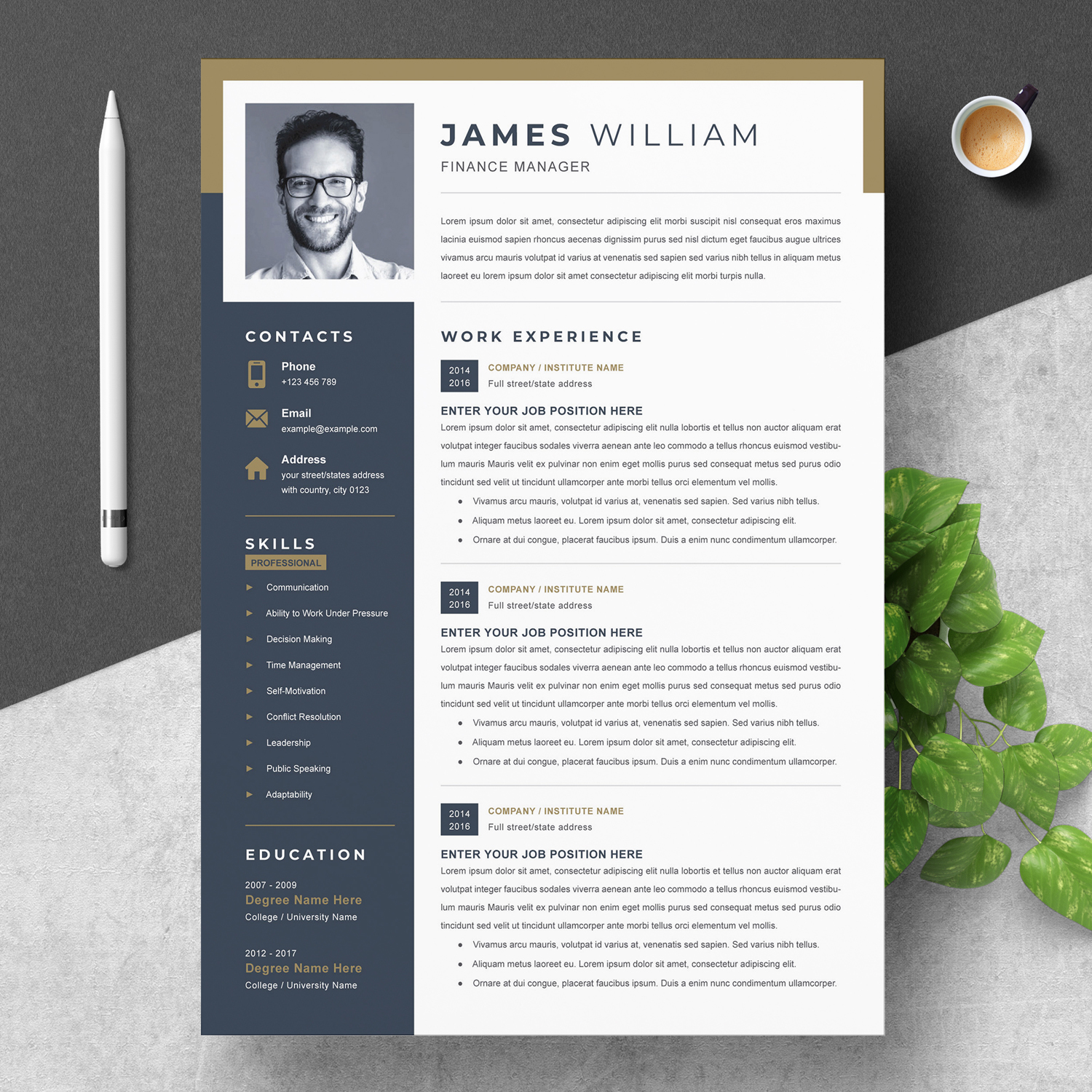 Cv Template With A Professional Layout - Riset