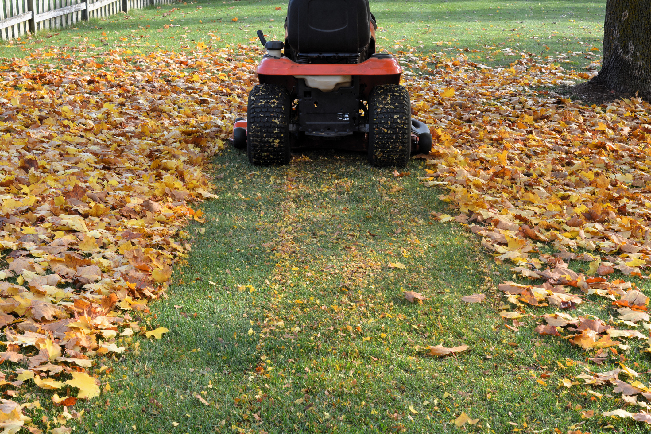 How to DIY Leaf Mulch for Lawn & Garden Care