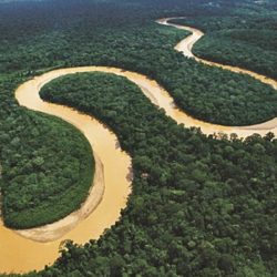 Rio Amazonas: donde nace, mapa, características, cuanto mide y más!