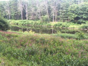 Clear Creek PA State Park