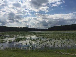 Black Moshannon PA State Park