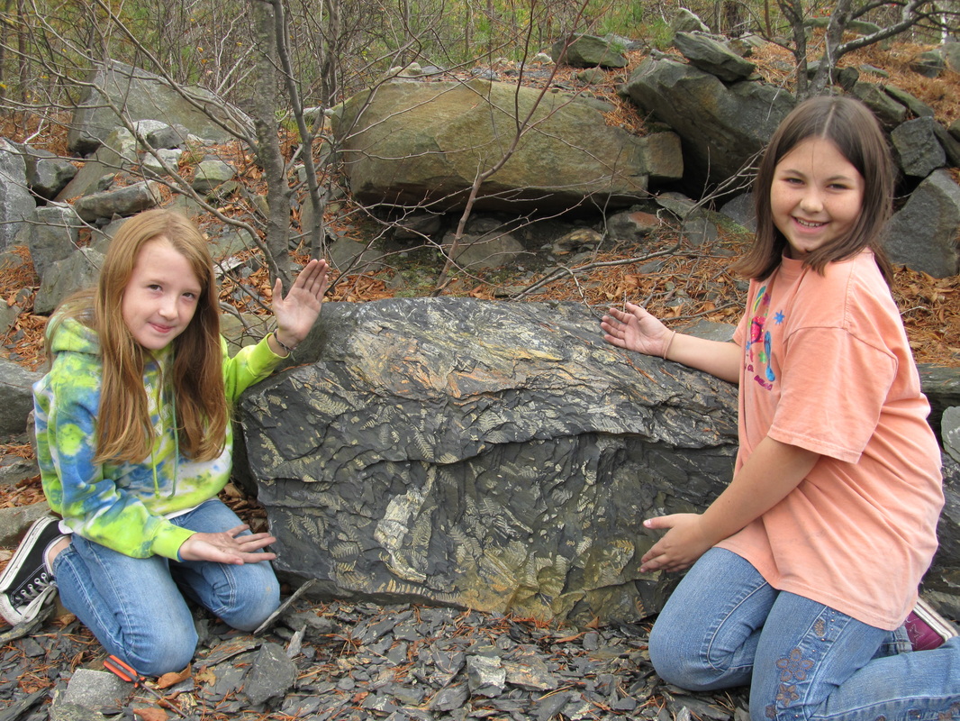 Pennsylvania - Rock Pups