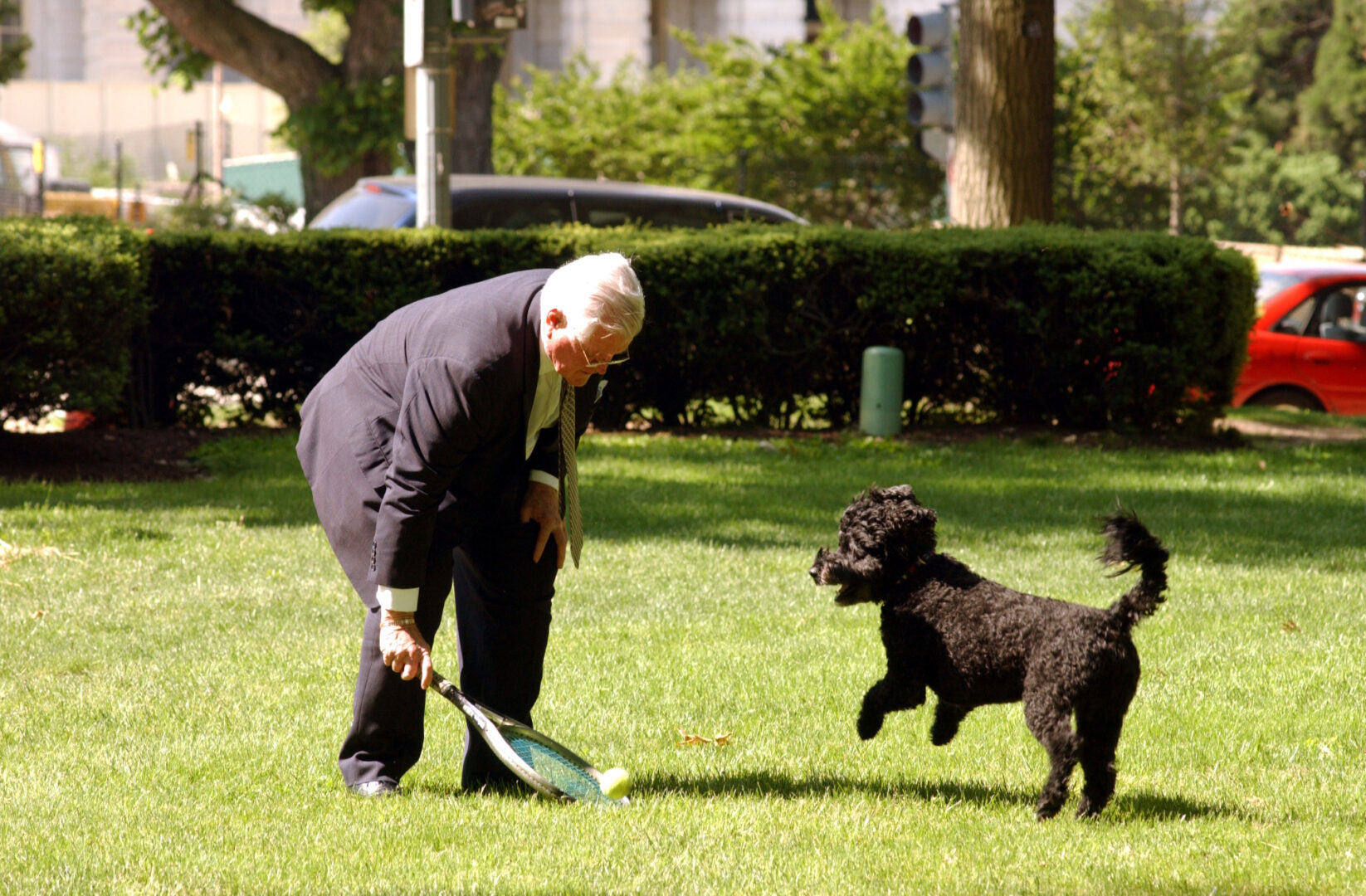 Sen. Edward M. Kennedy's dog Splash was a regular on Capitol Hill.