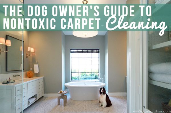 The Dog Owner's Guide to Nontoxic Carpet Cleaning