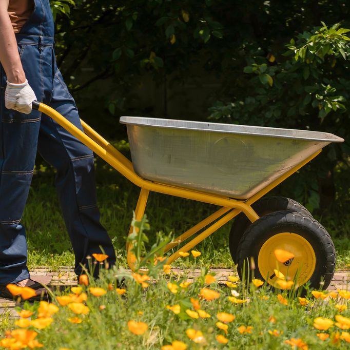 picture of a man using a wheelbarrow in a garden 