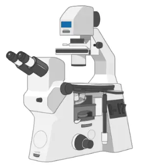 Inverted microscope