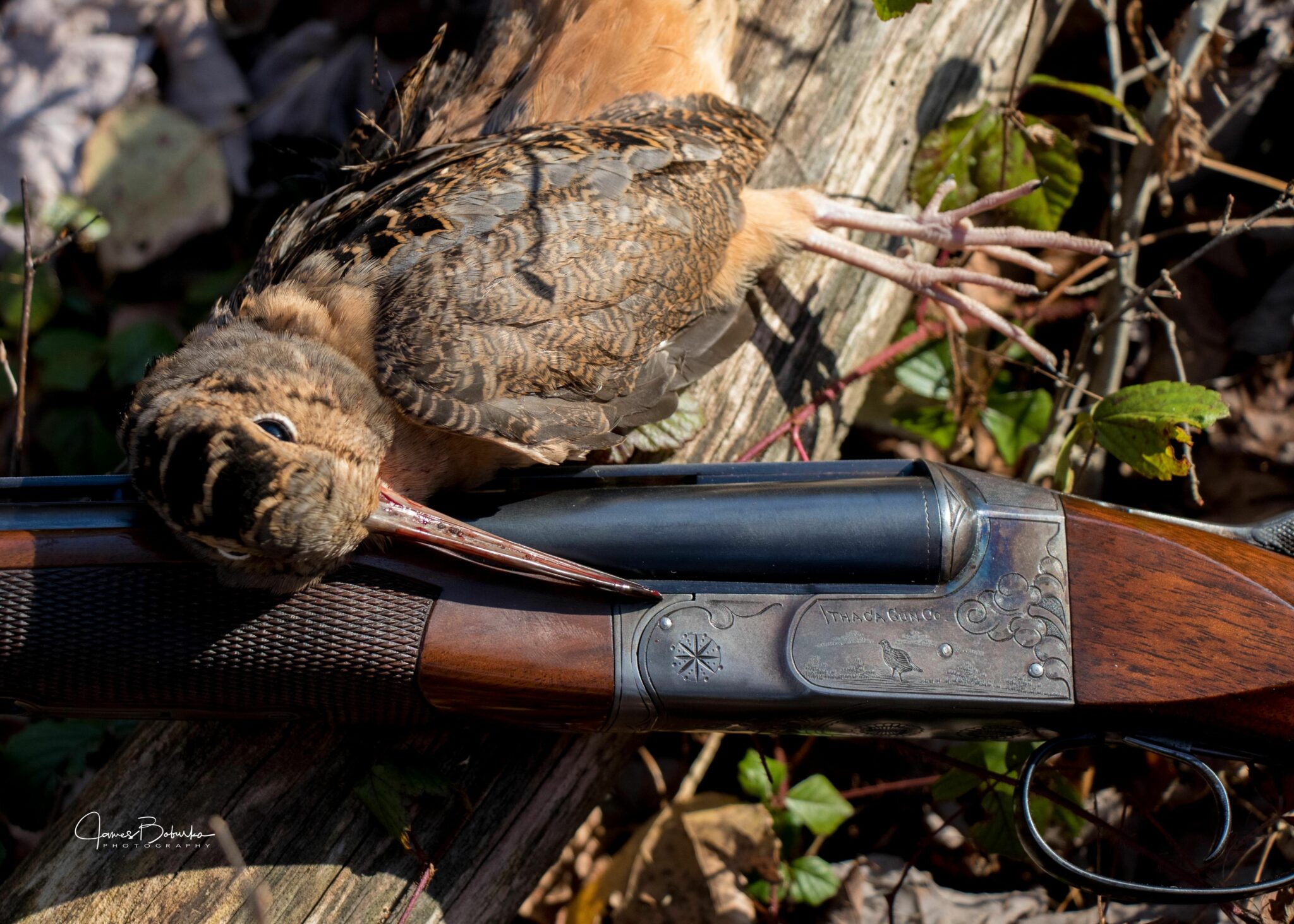 Pennsylvania Wilds Upland Bird Hunt - Ruffed Grouse Society