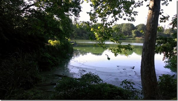 run in central park 