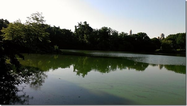 run in central park 