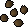 Apple tree seed.png: RS3 Inventory image of Apple tree seed