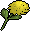 Dandelion.png: RS3 Inventory image of Dandelion