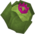 Crispy the Cabbage chathead.png: Chat head image of Crispy the Cabbage