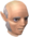 Gnome emissary chathead.png: Chat head image of Gnome emissary