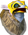 Kree'arra chathead.png: Chat head image of Kree'arra