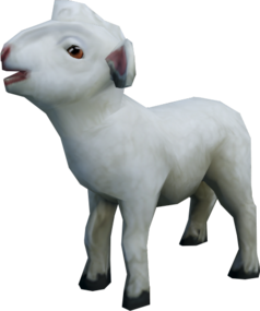 Lamb