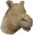 Louis the Camel chathead.png: Chat head image of Louis the Camel