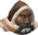 Medwin chathead.png: Chat head image of Medwin