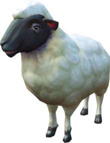 Adolescent - elder white ewe