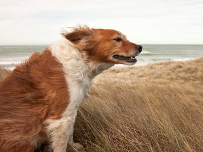 running in to wind