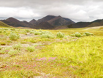 Chukotka nature