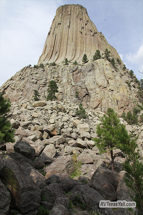 Devils Tower Rock Field