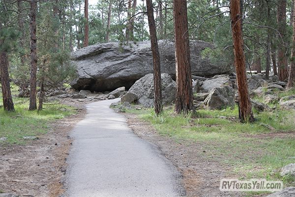 Hiking Tower Trail