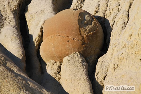 Cannon Ball Concretion