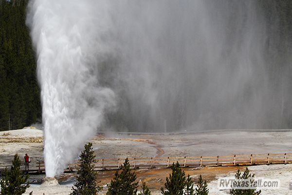 Beehive Geyser