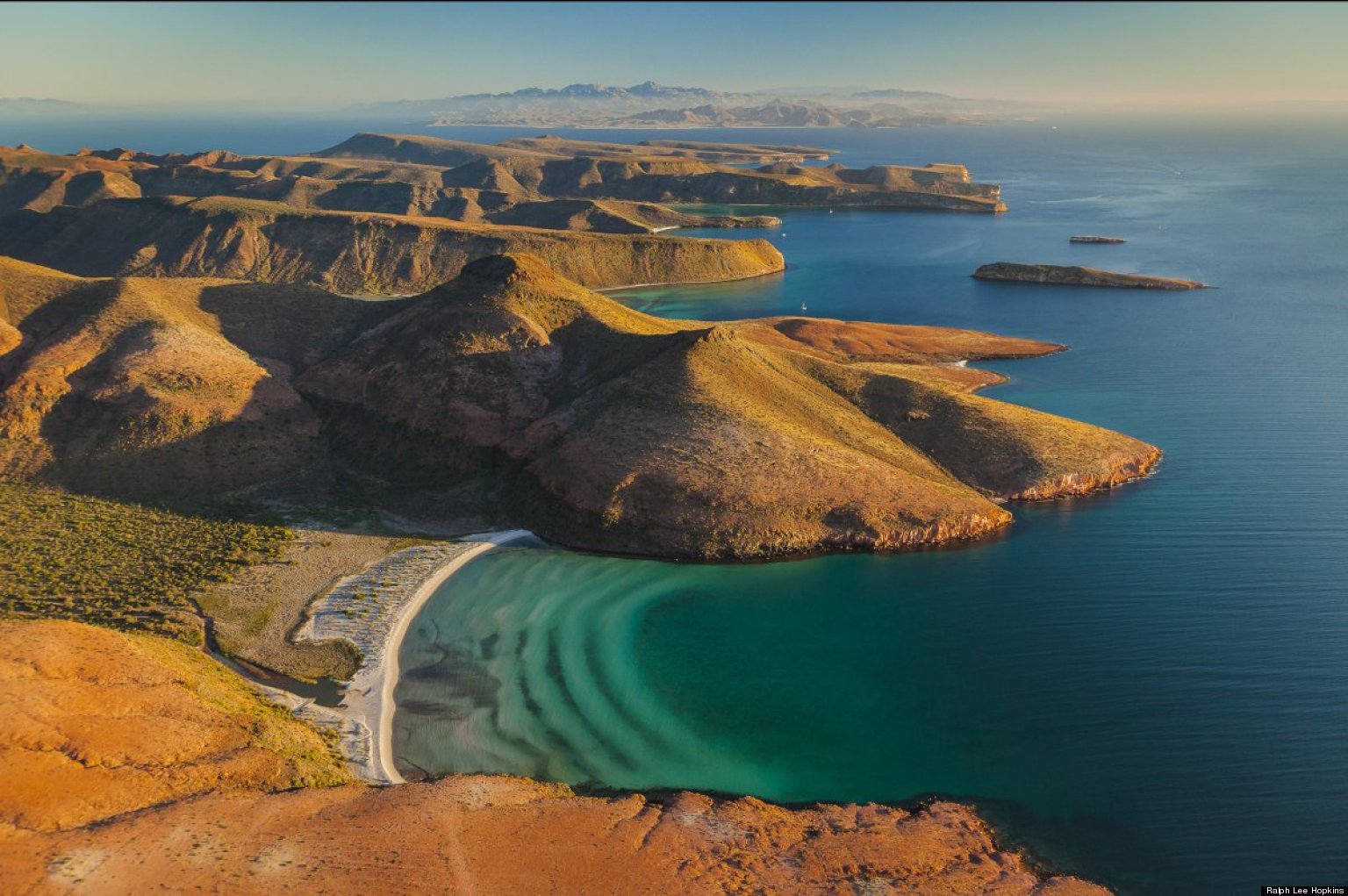 Wild Nature In Baja California And The Sea Of Cortez | HuffPost