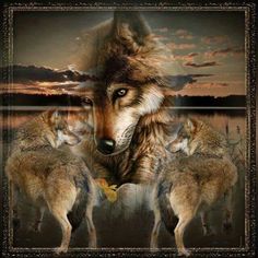 1000+ images about art van wolven / art of wolves on Pinterest | Wolf ...