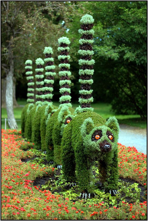 17 Best images about Terrific Topiary Animals on Pinterest | Gardens, Topiary plants and Hedges