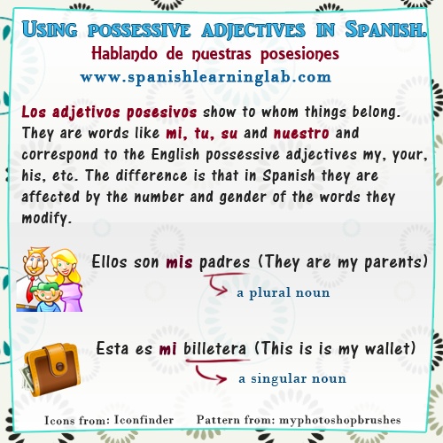 1000+ images about Possessive adjectives/ Showing possession (Los ...