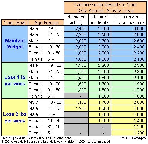 how much calories to lose weight in a day